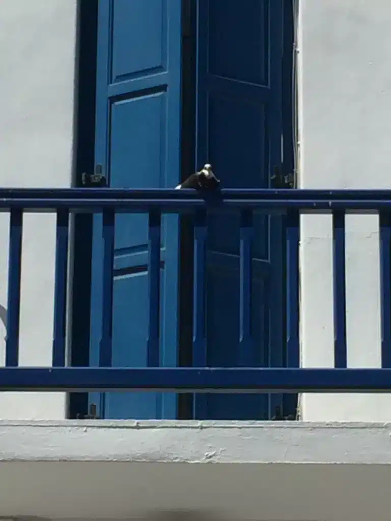 Blauer Balkon an einer der Ferienwohnungen in Griechenland