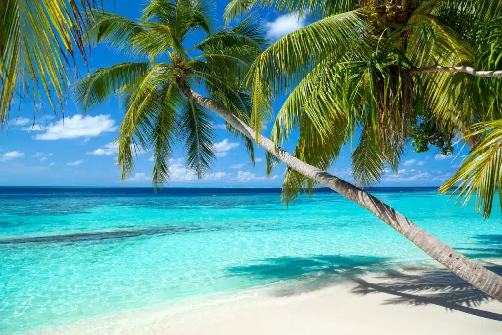 Traumhafter Strand mit weissem Sand, türkisem Wasser und Palmen